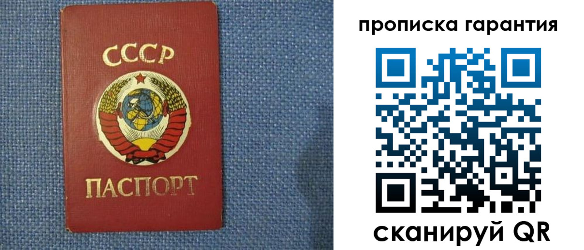 прописка 2025 в Елизово
